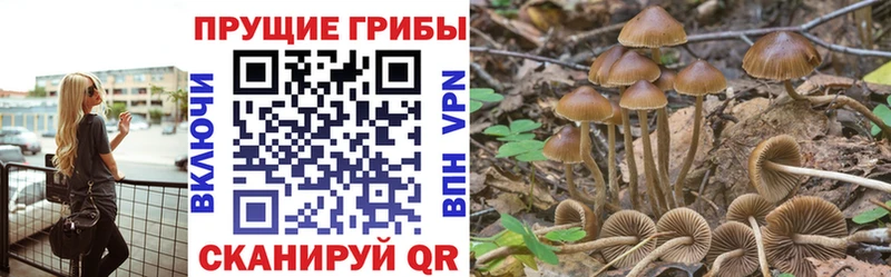 Галлюциногенные грибы MAGIC MUSHROOMS  Купить где  Белёв 